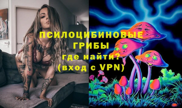 дурь Алзамай